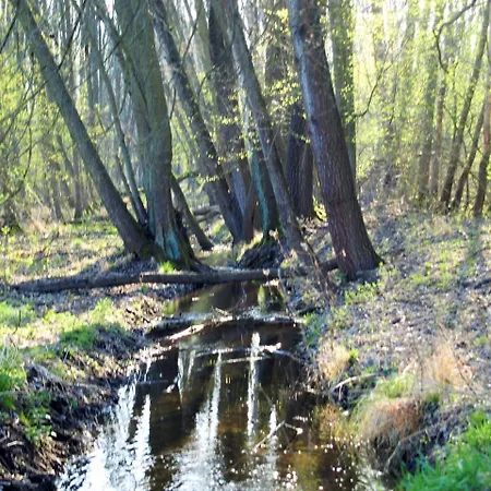 Altes Forsthaus Garzau Appartement Buitenkant foto