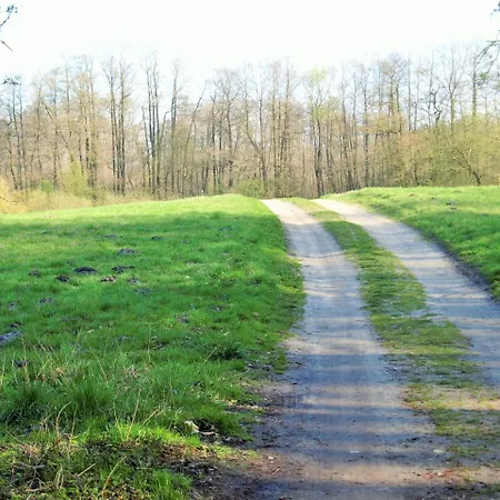 Altes Forsthaus Garzau Appartement Buitenkant foto