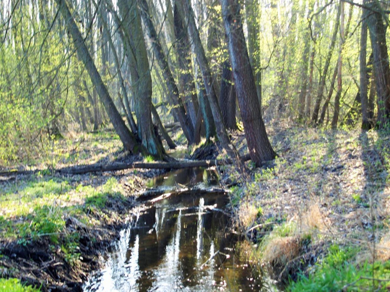 Altes Forsthaus Garzau-Garzin