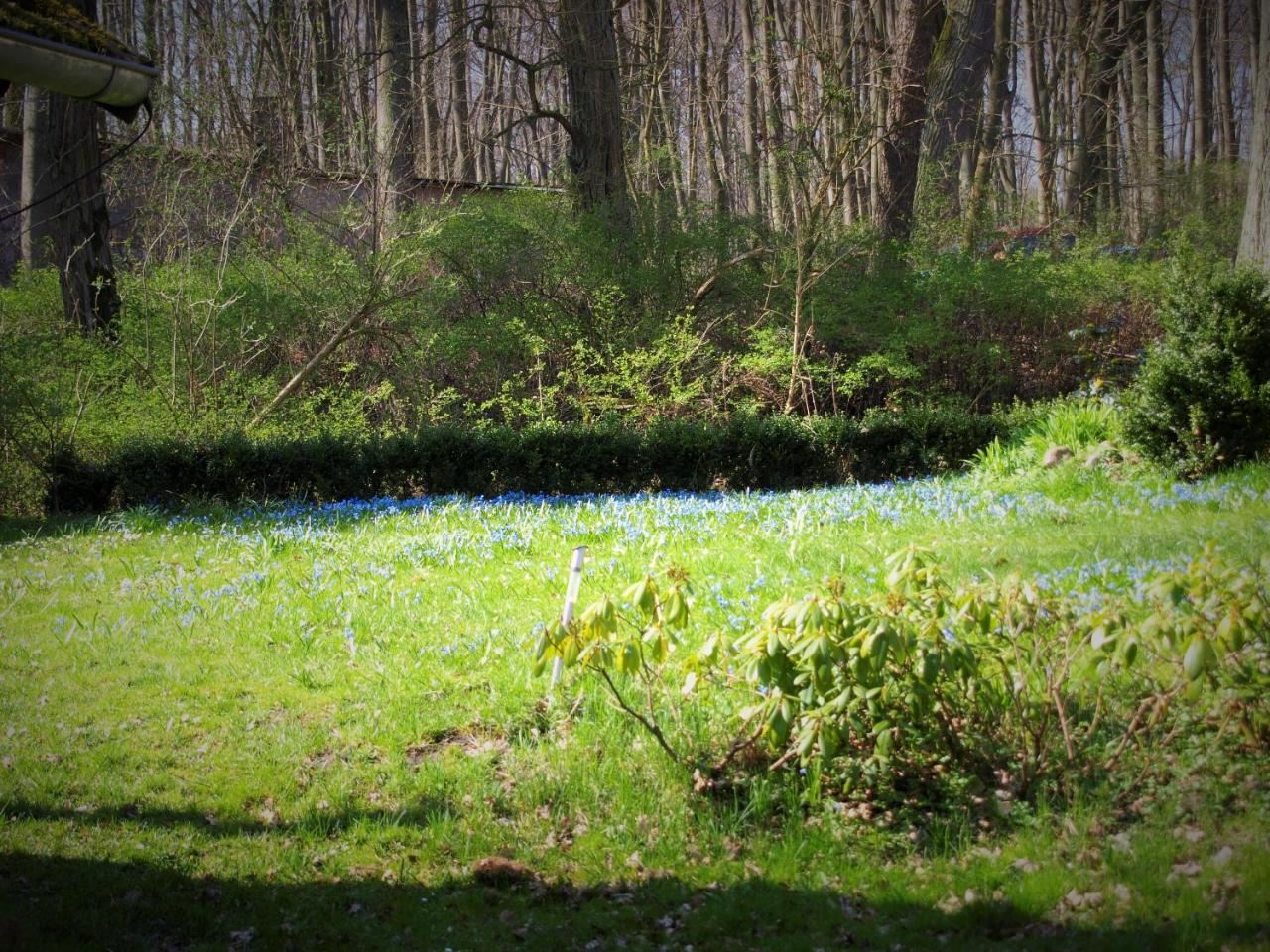 Altes Forsthaus * Garzau-Garzin